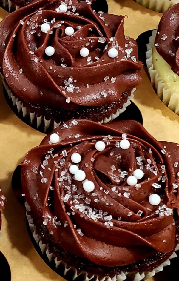 A close up of two cupcakes with chocolate frosting.