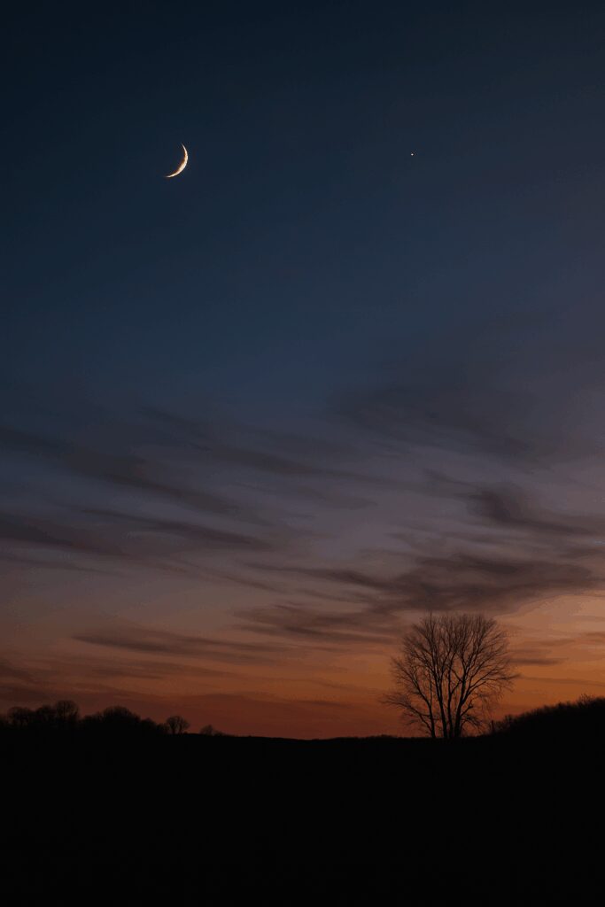 Crescent moon over tree at sunset.