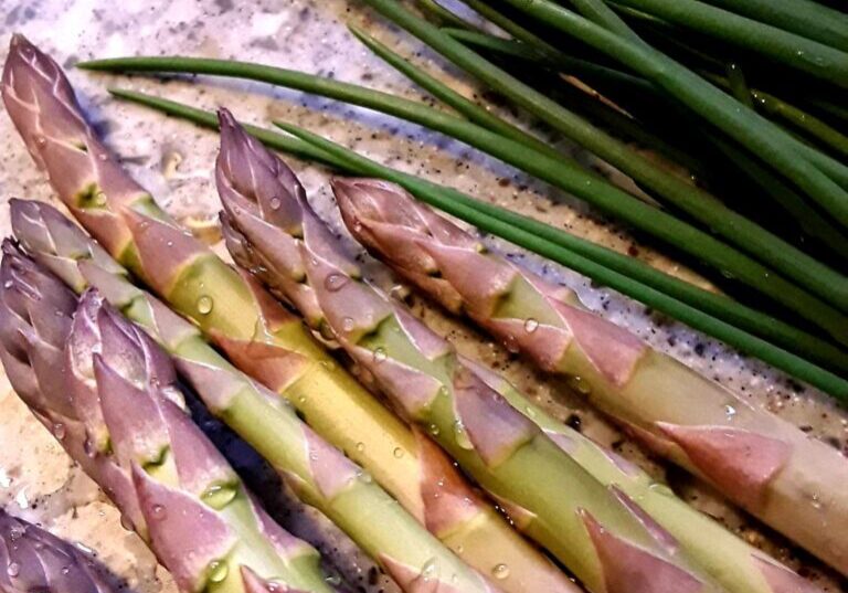 stems of vegetables