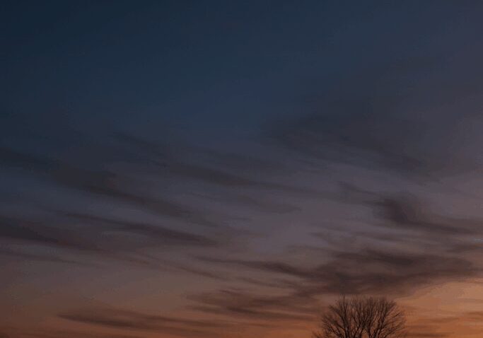Crescent moon over tree at sunset.